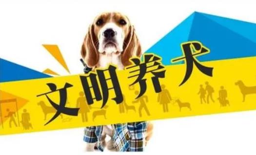 2023年3月1日起施行！《黃石市養(yǎng)犬管理?xiàng)l例》來了